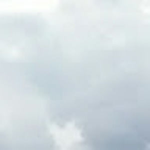 Meet your Posher, Sam raphael nitti project